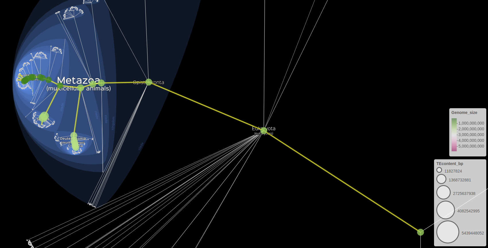 Visualisation of genomics data with markers and subtree