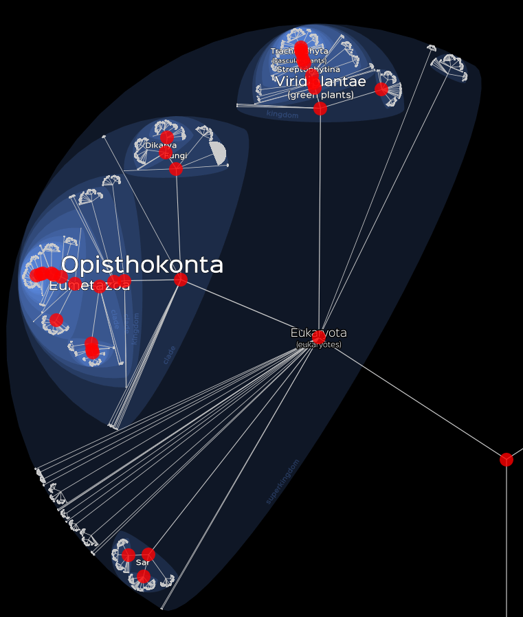 Basic visualisation